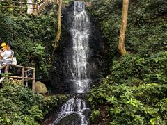 -芦茨金富饭庄·25年老字号·专做稻草鸡