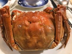 清蒸大閘蟹(只)-玉兰苑(渔人码头店)