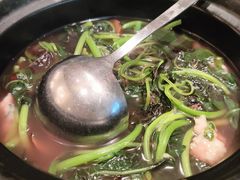 -侨美·唐荔园·40年地道粤菜