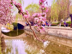 -元大都城垣遗址公园