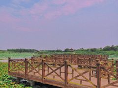 -上海海湾国家森林公园