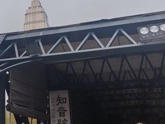 -武汉知音号
