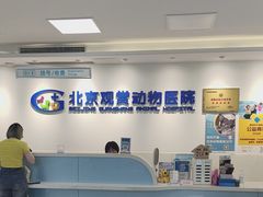 -北京观赏动物医院·24小时大型综合·猫专科·异宠专科
