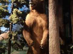 -陕西自然博物馆