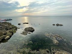 -养马岛旅游度假区