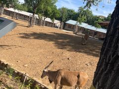 -石家庄市动物园