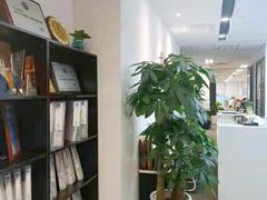 -菠萝国际教育专注Alevel·IGCSE·IB·AP·托福雅思培训辅导(静安校区)