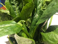 -九府羊·鲜羊火锅·烤串(新华路店)