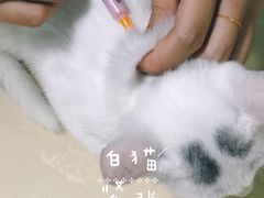 -仁普宠物诊所(住友昌盛新苑店)