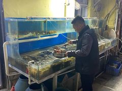 水产区-海帮主·蒸汽海鲜青岛菜(栈桥火车站店)