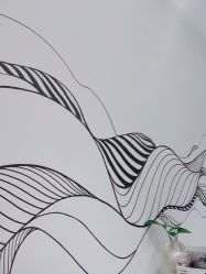 -平行宇宙普拉提健身