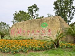 -瑶湖郊野森林公园