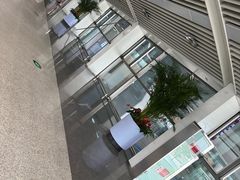 -青岛胶东国际机场