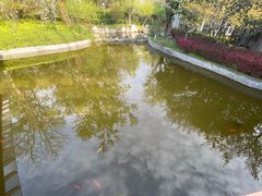 -南京国际会议大酒店