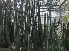 -南山植物园