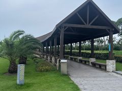 -碧海金沙