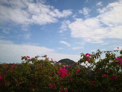 -太平山顶