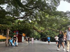 -东西巷