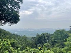 -南京老山国家森林公园