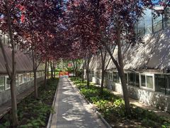 -南宫五洲植物乐园