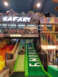 -卡通尼·Safari非洲探索乐园·生日会(金桥国际商业广场店)