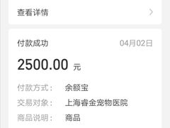 -睿金宠物医院·CT·肿瘤·骨外科