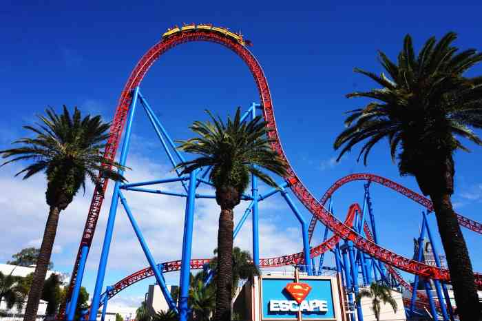 纳 2018年在半球的夏天 等黄昏 等日落 等海豚98 在华纳兄弟里