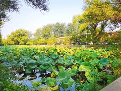 -北京小汤山医院体检中心