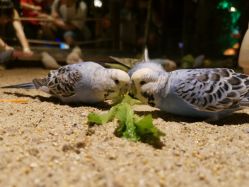 -酷嗒动物文化乐园(cutezoo西溪乐天城店)