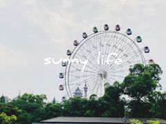 -塔子山公园