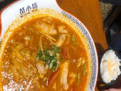 -苗小坛酸汤鱼(酒仙桥店)