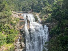 -海南热带雨林国家公园吊罗山景区