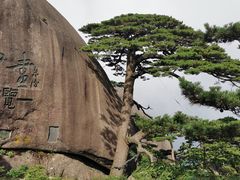 -黄山风景区