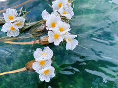 -丽江泸沽湖景区