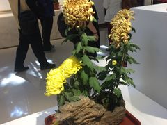 -汇龙潭