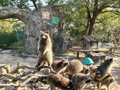 -宁波野生动物园