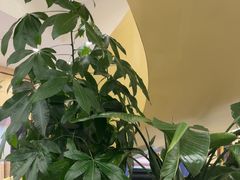 -七欣天香辣蟹火锅(南京桥北太平店)