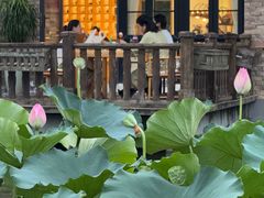 -成都南湖公园