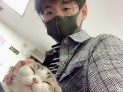 -三花喵·撸猫购宠·宠物生活馆(虹桥南丰城店)