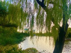 -迎泽公园