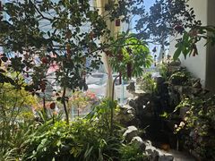 -潍坊鸢飞大酒店(泰华城店)