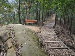 -南山植物园