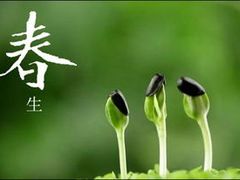 -云晓光头烧烤吧(德平路店)