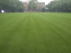 -苏州大学(天赐庄校区)