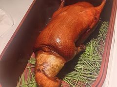 -鹿园 MOOSE(长宁店)