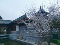 -迎泽公园