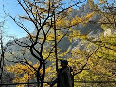 -崂山巨峰游览区