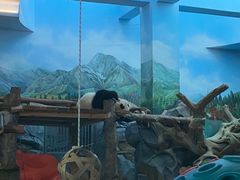 -武汉动物园