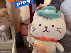 -猫的天空之城概念书店(北戴河蔚蓝海岸店)