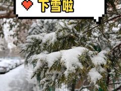 -朝阳公园